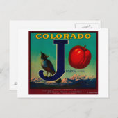 Carte Postale Joslyn Étiquette Apple Crate (Devant / Derrière)