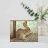 Carte Postale Jote Lapin Cottontail (Debout devant)