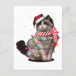 Carte Postale Jote Ragdoll Amoureux des chats Funny Noël cadeau