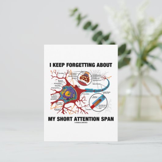 Carte Postale J'Oublie Toujours Mon Courte Portée D'Attention (Debout devant)