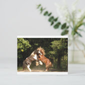 Carte Postale Jouer au coucher du soleil (Debout devant)