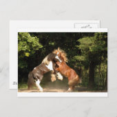 Carte Postale Jouer au coucher du soleil (Devant / Derrière)