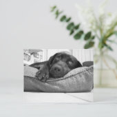 Carte Postale Jouerez-vous ? (Debout devant)