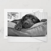 Carte Postale Jouerez-vous ? (Devant / Derrière)