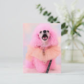 Carte postale : Jouet Caniche Rose, Mozzarella Le (Debout devant)