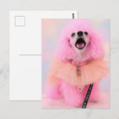 Carte postale : Jouet Caniche Rose, Mozzarella Le (Devant / Derrière)