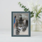 Carte postale Joueur Kitten Kimber Anniversaire (Debout devant)
