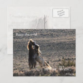 Carte Postale Joueur, préadressé : Sec de l'intérieur (Devant / Derrière)