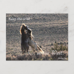 Carte Postale Joueur, Préadressé : Sec de l'intérieur