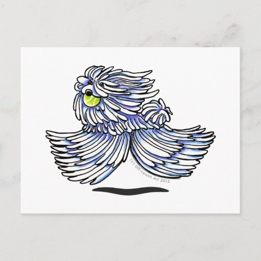 Carte Postale Joueur Puli Komondor (Devant)