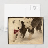 Carte Postale Jouons ! (Devant / Derrière)