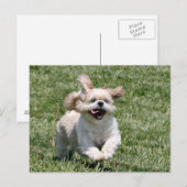 Carte Postale Jouons ensemble (Devant / Derrière)