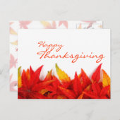 Carte postale Jour d'Action de grâce (Devant / Derrière)