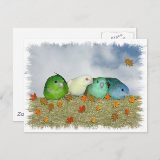 Carte Postale Jour d'automne (Devant / Derrière)