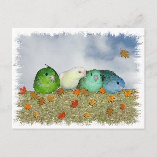 Carte Postale Jour d'automne (Devant)