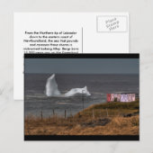 Carte Postale Jour de blanchisserie (Devant / Derrière)