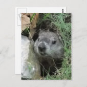 Carte Postale Jour de la marmotte (Devant / Derrière)