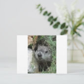 Carte Postale Jour de la marmotte (Debout devant)