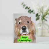 Carte Postale Jour de la marmotte dorée (Debout devant)