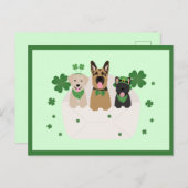 Carte Postale Jour de la Saint Patrick Dog Mail (Devant / Derrière)