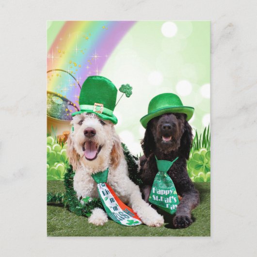 Carte Postale Jour de la Saint Patrick - GoldenDoodles - Sadie e (Devant)