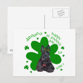 Carte Postale Jour de la Saint-Patrick Terrier Écossais (Devant / Derrière)