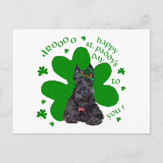 Carte Postale Jour de la Saint-Patrick Terrier Écossais (Devant)