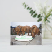 Carte Postale Jour de la St Patrick (Debout devant)