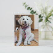 Carte Postale Jour de l'Indépendance, 4 juillet (Debout devant)