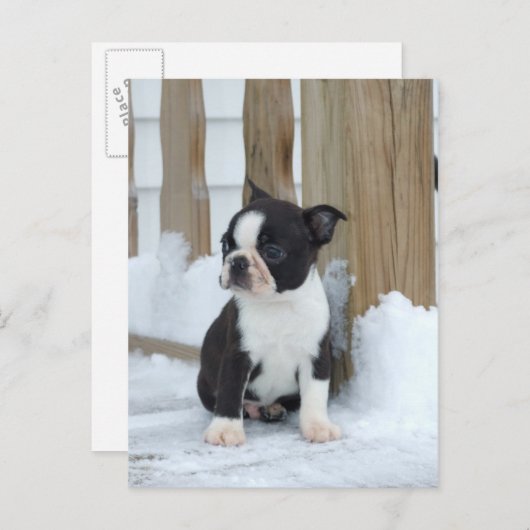 Carte Postale Jour de neige (Devant / Derrière)