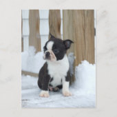 Carte Postale Jour de neige (Devant)