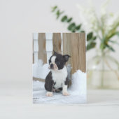 Carte Postale Jour de neige (Debout devant)