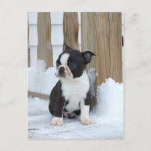 Carte Postale Jour de neige