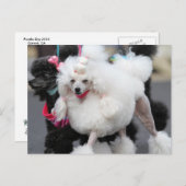 Carte Postale Jour des canicules 2010 #6 (Devant / Derrière)