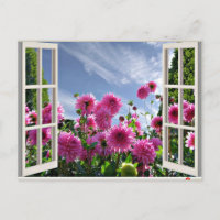 Jour d'été, Dahlias en fleurs