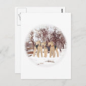 Carte Postale Jour d'hiver (Devant / Derrière)