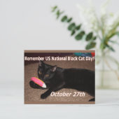 Carte Postale Jour du chat noir (Debout devant)
