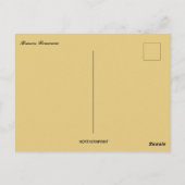 Carte Postale Jour ensoleillé à Brasov Roumanie (Dos)