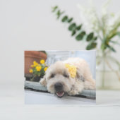 Carte Postale Jour ensoleillé Wheaton (Debout devant)