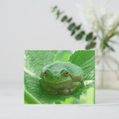 Carte Postale Jour heureux - grenouille verte près (Debout devant)