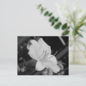 Carte Postale Jour Jaune Lily (Debout devant)
