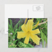 Carte Postale Jour Jaune Lily # 1 (Devant / Derrière)