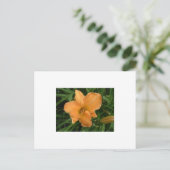 Carte Postale Jour Lily (Debout devant)