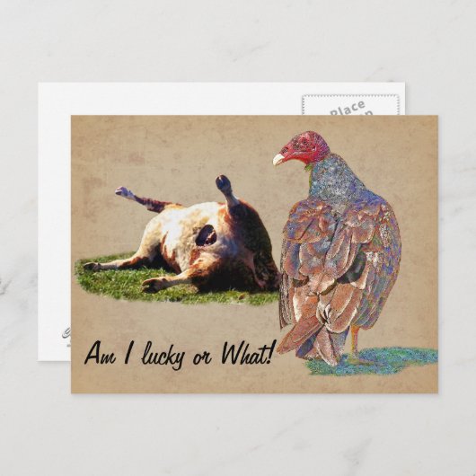 CARTE POSTALE JOUR LUCKY (Devant / Derrière)