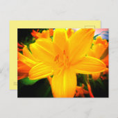 Carte Postale Jour Orange Jaune Fleurs Lys Jardin Ensoleillé (Devant / Derrière)