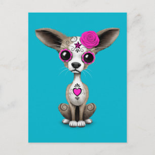 Carte Postale Jour rose du crâne de sucre mort Chihuahua Chiuppy