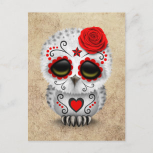 Carte Postale Jour rouge mignon de la Chouette du crâne de sucre
