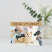 Carte postale Jour Spa Pet Grooming (Debout devant)
