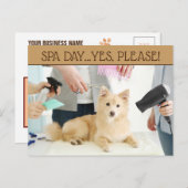 Carte postale Jour Spa Pet Grooming (Devant / Derrière)