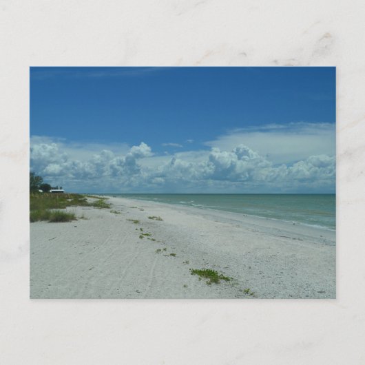 Carte Postale Jour Sur Une Plage Tropicale (Devant)
